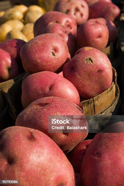 Rote Kartoffeln Stockfoto und mehr Bilder von Bauernmarkt - Bauernmarkt, Farbbild, Fotografie