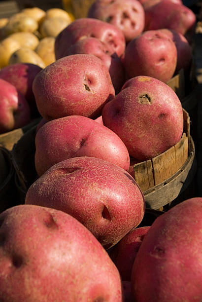 batatas vermelha - red potato raw potato market red - fotografias e filmes do acervo