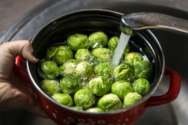 Preparing Brussels sprouts Unrecognizable Caucasian female preparing Brussels sprout, pouring water from a faucet in pot. cleaning stove domestic kitchen human hand stock pictures, royalty-free photos & images