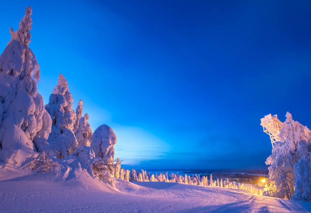 istock Heavy snow landscape from Sotkamo, Finland. 907932096