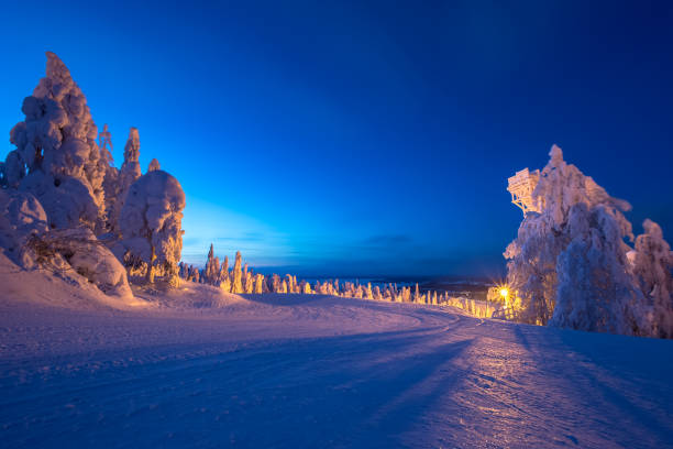 istock Heavy snow landscape from Sotkamo, Finland. 907932098