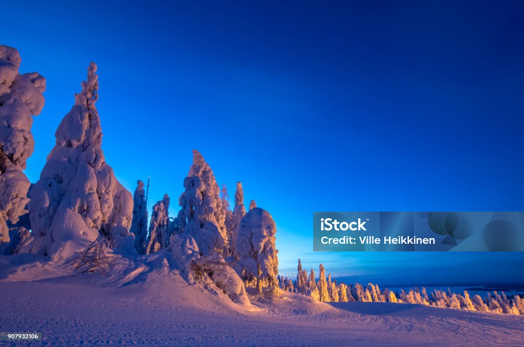 Heavy snow landscape from Sotkamo, Finland. Beauty Stock Photo