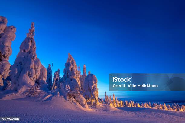 Heavy Snow Landscape From Sotkamo Finland Stock Photo - Download Image Now - Beauty, Blue, Cold Temperature