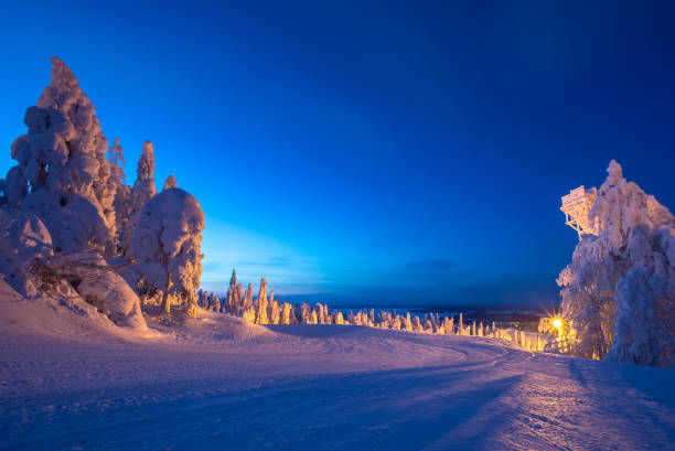 istock Heavy snow landscape from Sotkamo, Finland. 907932136