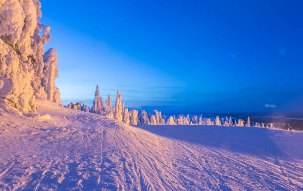 istock Heavy snow landscape from Sotkamo, Finland. 907932220