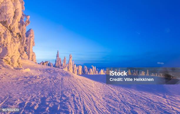 Heavy Snow Landscape From Sotkamo Finland Stock Photo - Download Image Now - Finland, Beauty, Blue