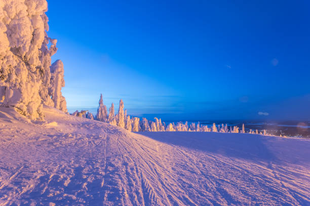 istock Heavy snow landscape from Sotkamo, Finland. 907932276