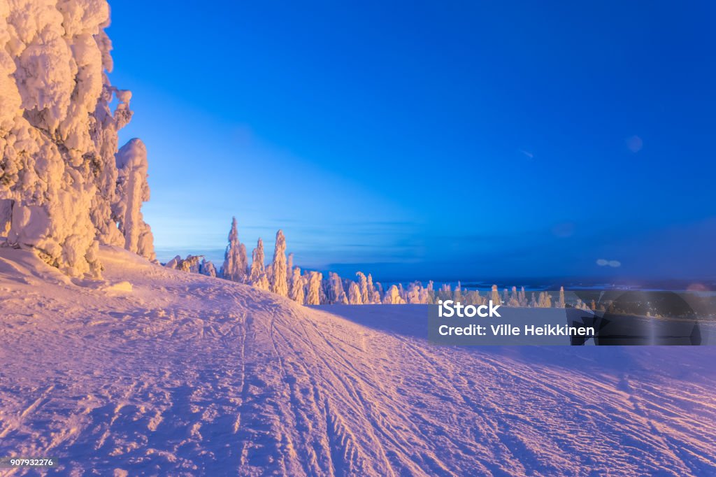 Heavy snow landscape from Sotkamo, Finland. Finland Stock Photo