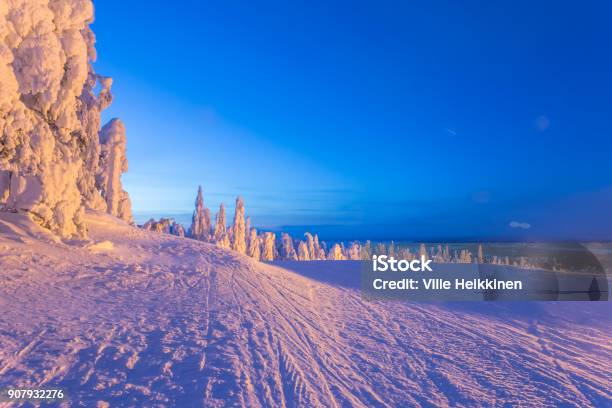 Heavy Snow Landscape From Sotkamo Finland Stock Photo - Download Image Now - Finland, Winter, Beauty