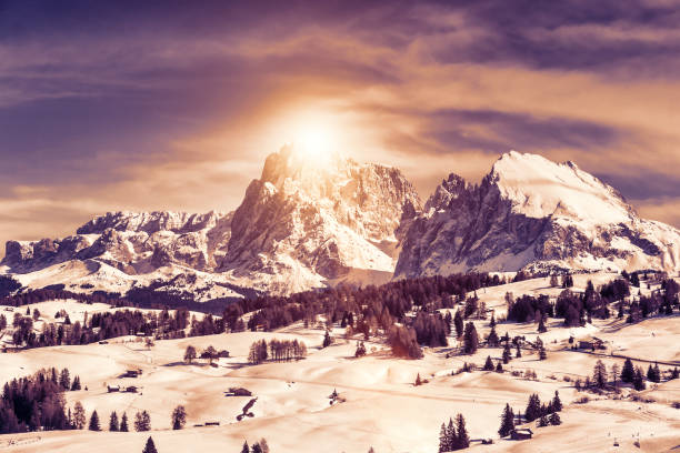 istock Panoramic view at sunset of Sasso Lungo and Sasso Piatto 907936554
