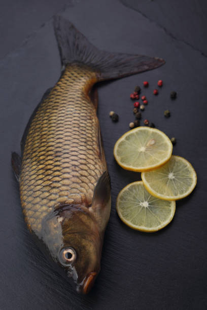 istock Fresh carp with peppers and lemon. Closeup 907937444
