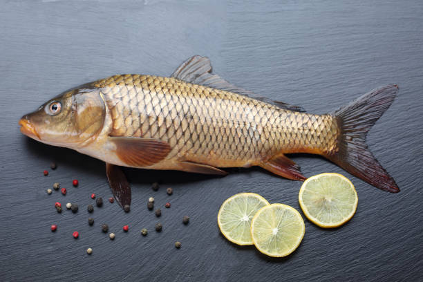 istock Fresh carp with peppers and lemon on black cutting board 907937450