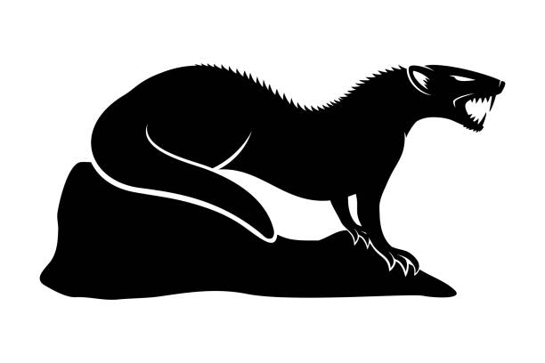 ilustraciones, imágenes clip art, dibujos animados e iconos de stock de signo de negro mangosta. - mangosta