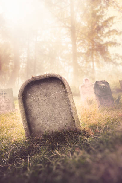 istock gravestone with fog and dramatic lighting 907938730