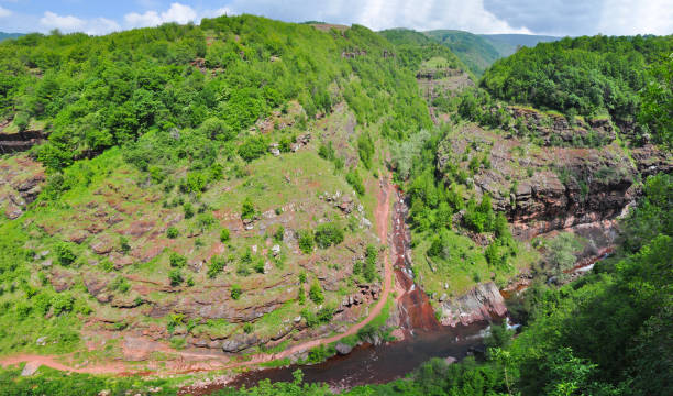 istock Panoramic view of mountain river in summer, Old Mountain, Serbia. 907939212