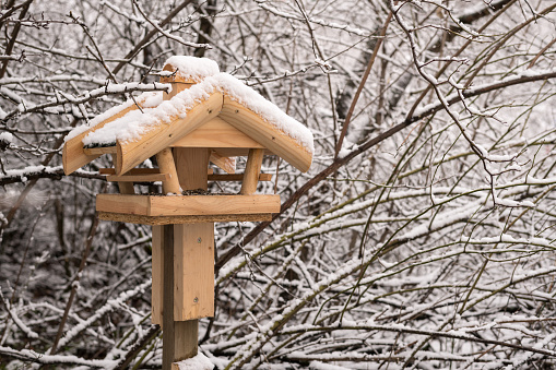 A wooden bird feeding house in the middle of bushes covered with snow in winter