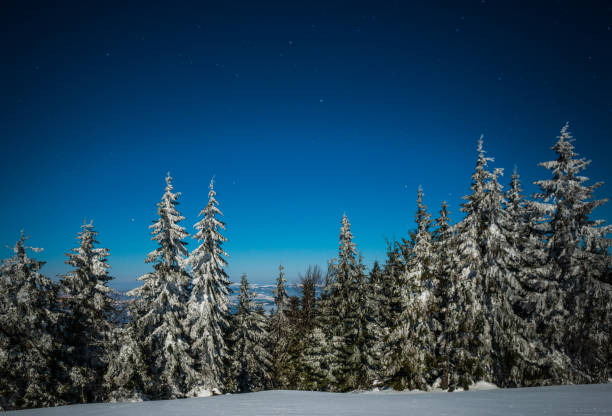 istock Night stars in the snowy mountains 907943380