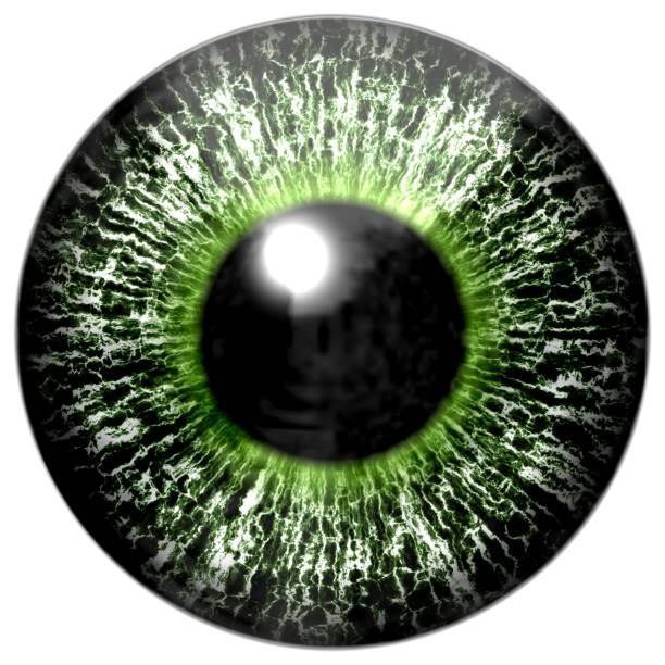 istock Beautiful colorful scary eye texture 907943918