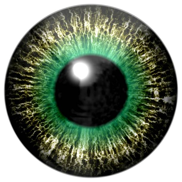 istock Beautiful colorful scary eye texture 907944214