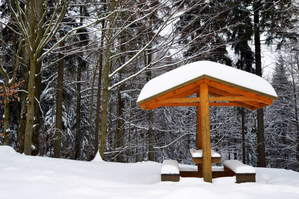 Snowy bench in winter landscape. National park Sumava in Czech Republic.