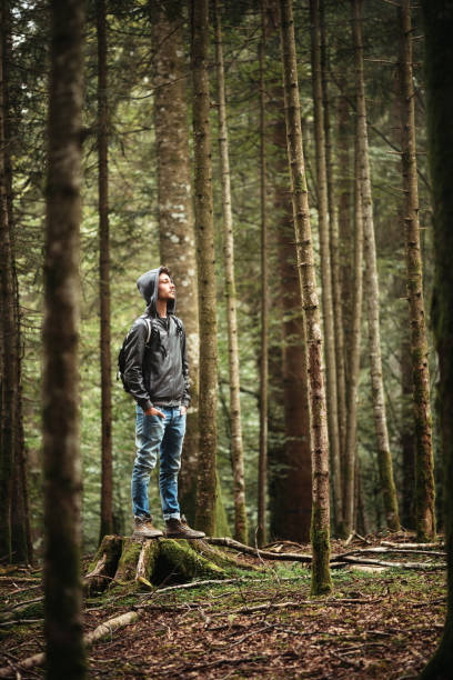 istock Hooded man posing in the forest 907945368