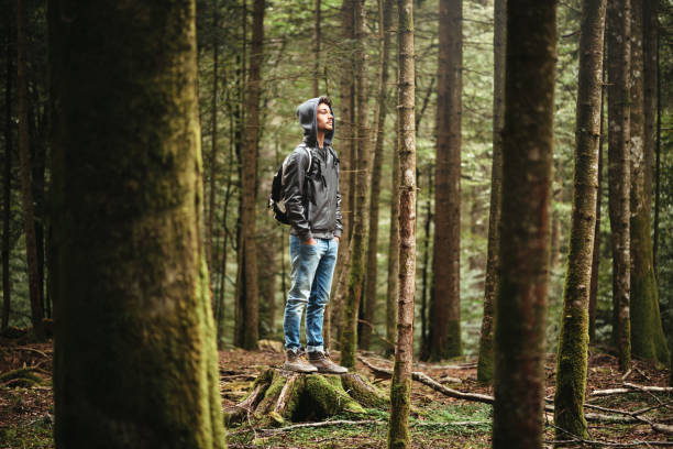istock Hooded man posing in the forest 907945450