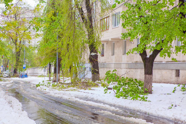 istock street after snowfall 907945608