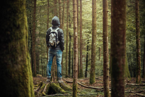 istock Hooded man posing in the forest 907945762