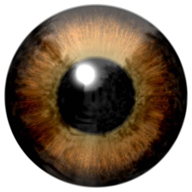 istock Beautiful colorful scary eye texture 907948934