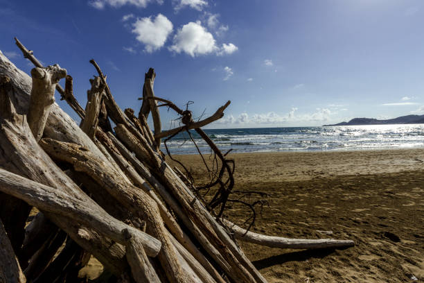 istock Feniglia Beach In Tuscany 907950224