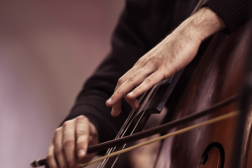 Hands of a musician playing on a contrabass