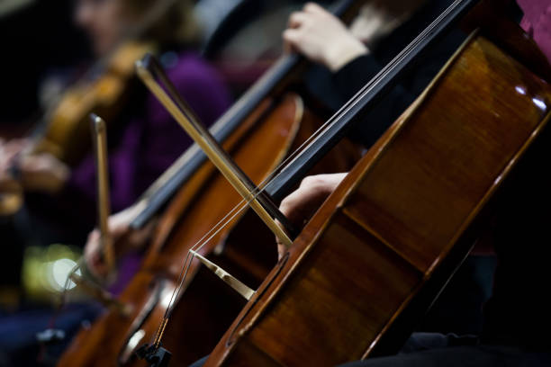 istock Fragment of cellos 907950874