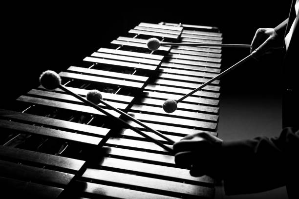 The hands of a musician playing the marimba The hands of a musician playing the marimba in black and white tones marimba stock pictures, royalty-free photos & images