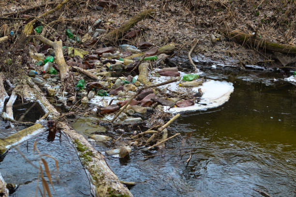 istock View of the polluted small forest river with a lot of different plastic garbage. Environment pollution problem 907951908