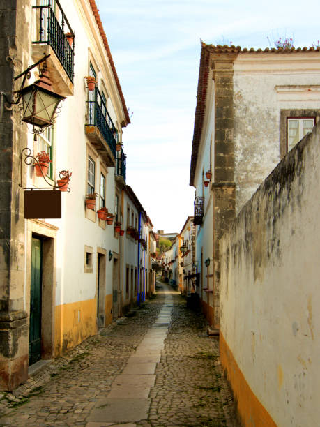 istock Medieval Street in Obidos 907954562