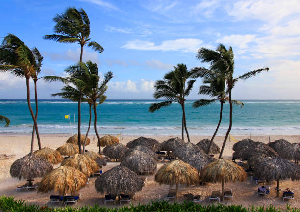 Beach photo with palm trees and blue ocean. Dominican Republic stock photo