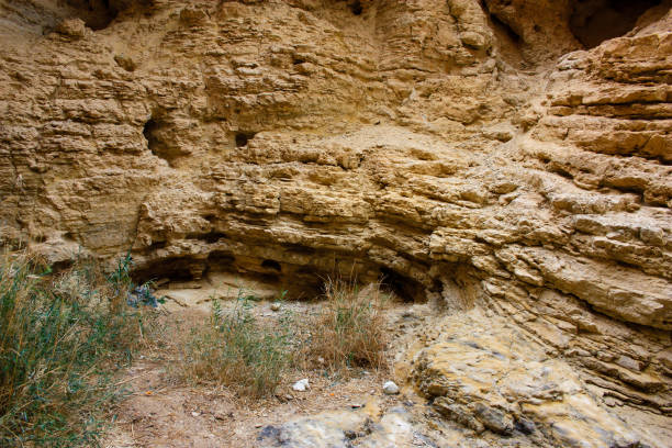 Wadi Bokek Trek in the Judaen desert nature reserve in Israel