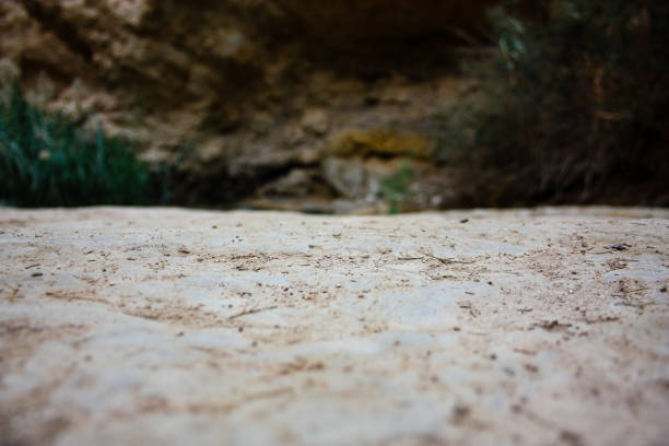 istock colors of Israel 907958490