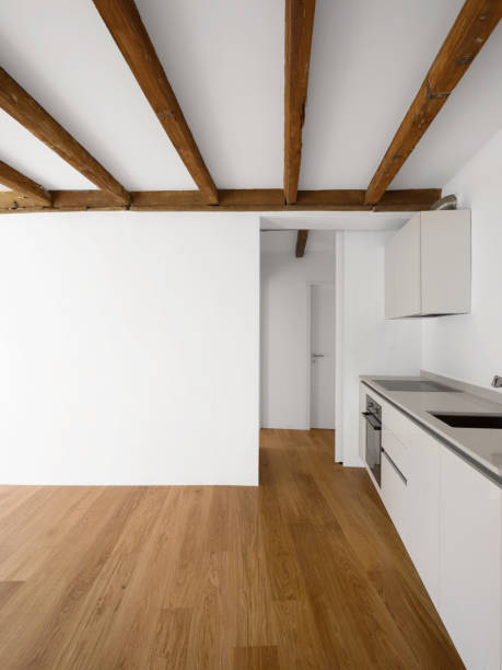 istock Modern kitchen in renovated apartment 907961492