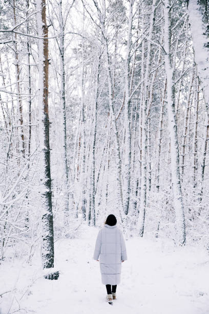 istock back view of woman walking in snowy forest 907961730