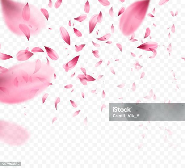 Pink Sakura Falling Petals Background Vector Illustration Stock Illustration - Download Image Now