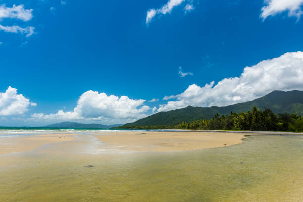 istock Cape Tribulation in Tropical North Queensland, Australia 907964328