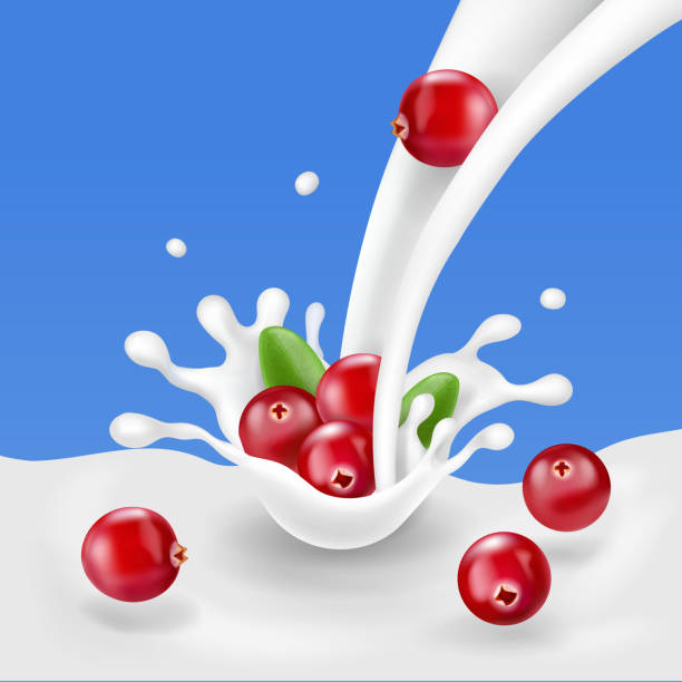 stockillustraties, clipart, cartoons en iconen met red cranberry vallen in yoghurt. melk plons met bessen en zuivelproducten reclame sjabloon - dropped ice cream