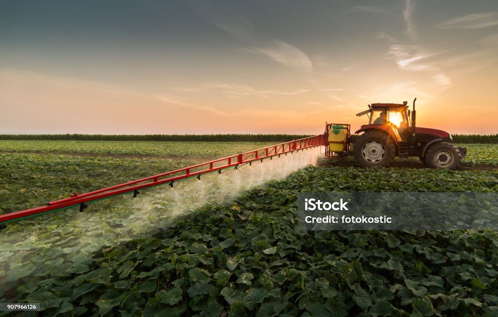 Tractor spraying pesticides on vegetable field with sprayer at spring Agriculture Stock Photo