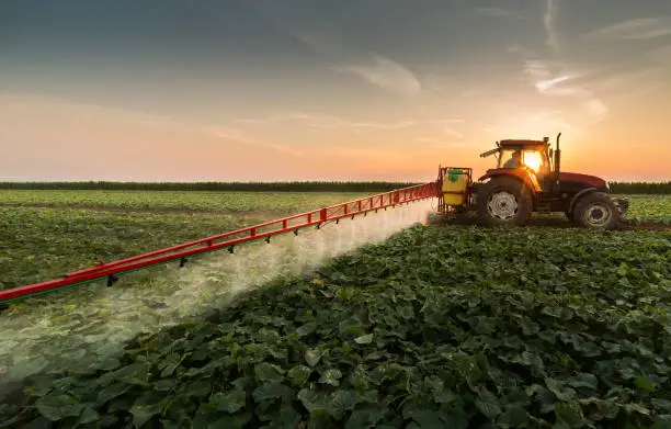 Photo of Tractor spraying pesticides on vegetable field with sprayer at spring
