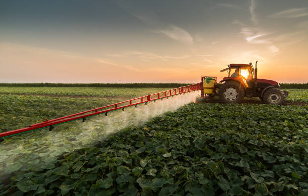 ciągnik rozpylania pestycydów na polu warzywnym z opryskiwacza na wiosnę - traktor zdjęcia i obrazy z banku zdjęć