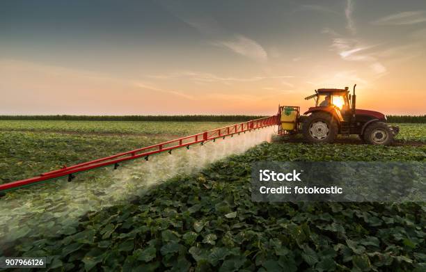 Foto de Trator De Pulverização De Pesticidas Em Campo Vegetal Com Pulverizador Na Primavera e mais fotos de stock de Agricultura