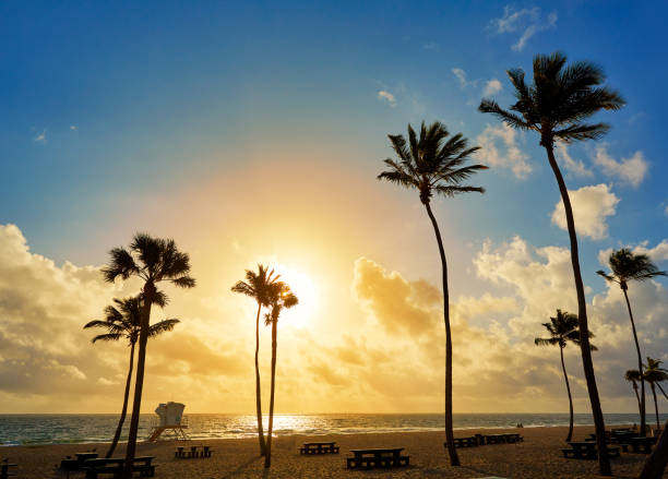 istock Fort Lauderdale beach sunrise Florida US 907966174