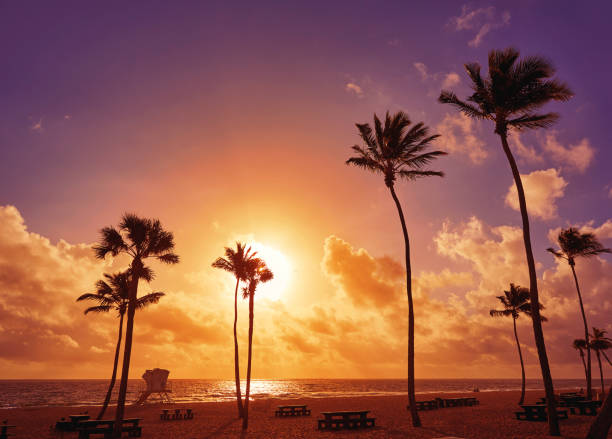 istock Fort Lauderdale beach sunrise Florida US 907966222