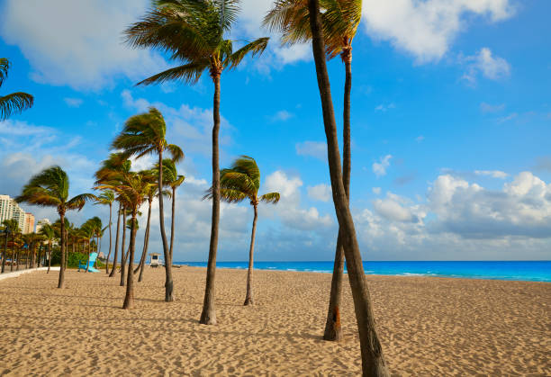 istock Fort Lauderdale beach sunrise Florida US 907966348